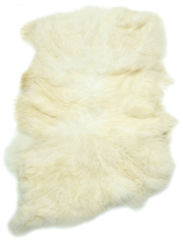 Extra Large Quad Icelandic Sheepskin Rug Ivory White